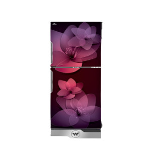 Walton Direct Cool Refrigerator 252 Ltr (WFD-2B6-GDSH-GT)