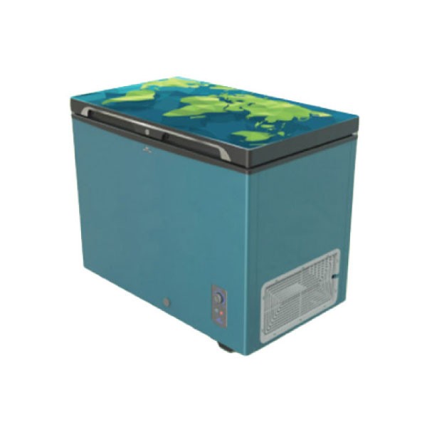 Walton Freeze 255 Ltr (WCG-2E5-GDEL-XX)