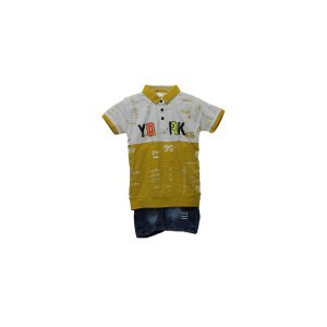 Stylish polo T-Shirt and Pant