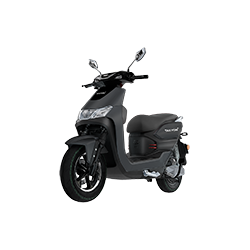 Walton E-Bike TAKYON 1.00